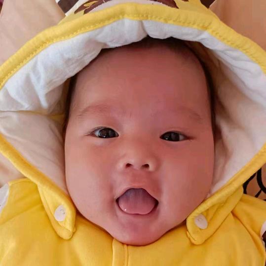 ༗᭄༄小٭林🌿༻