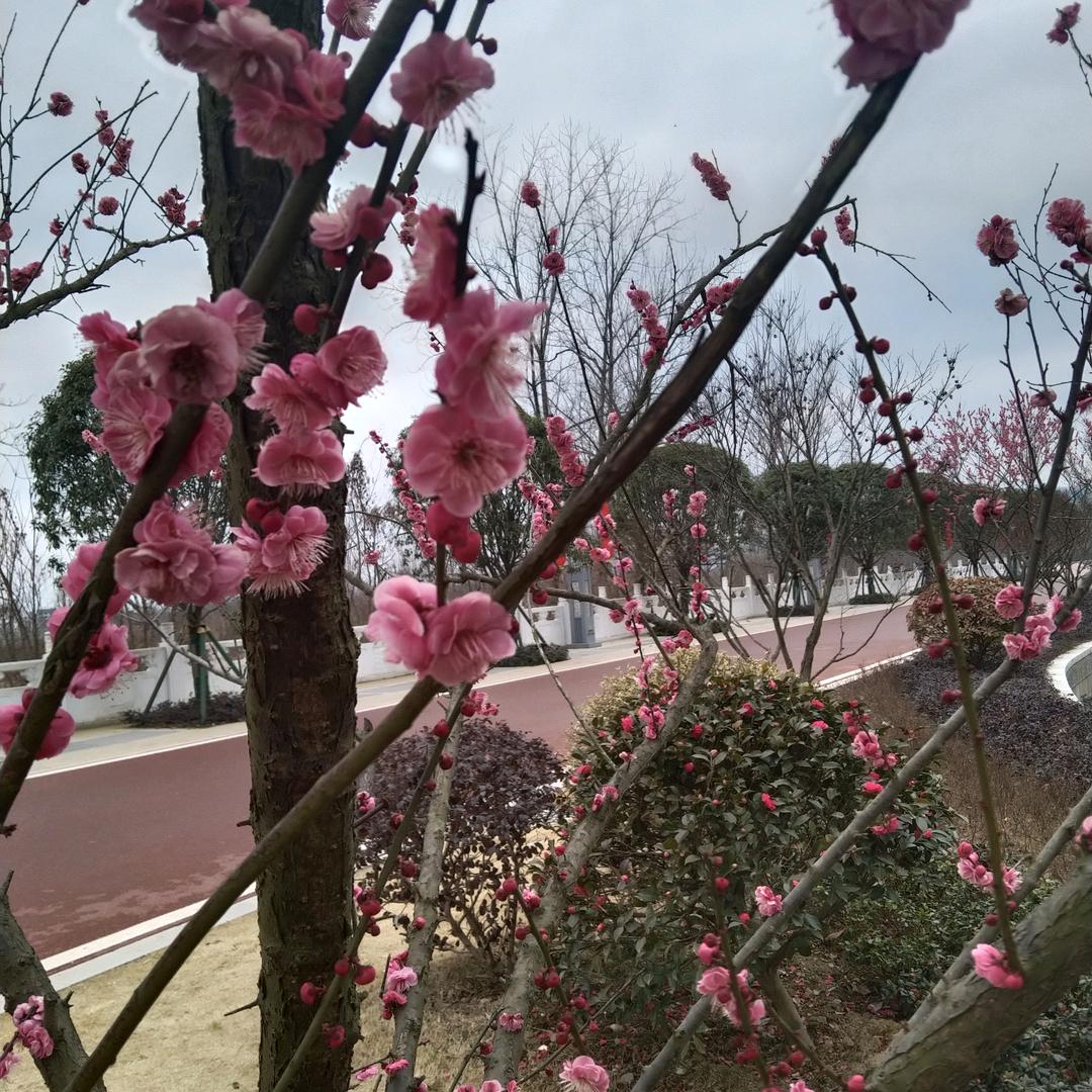 慢步在雨中