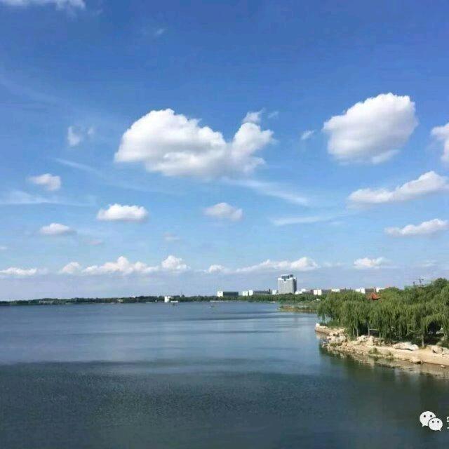 心海