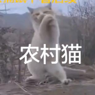 小花他爹
