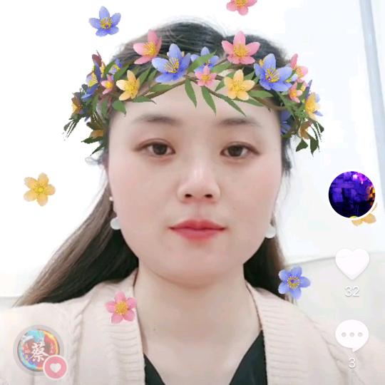 赵财进宝