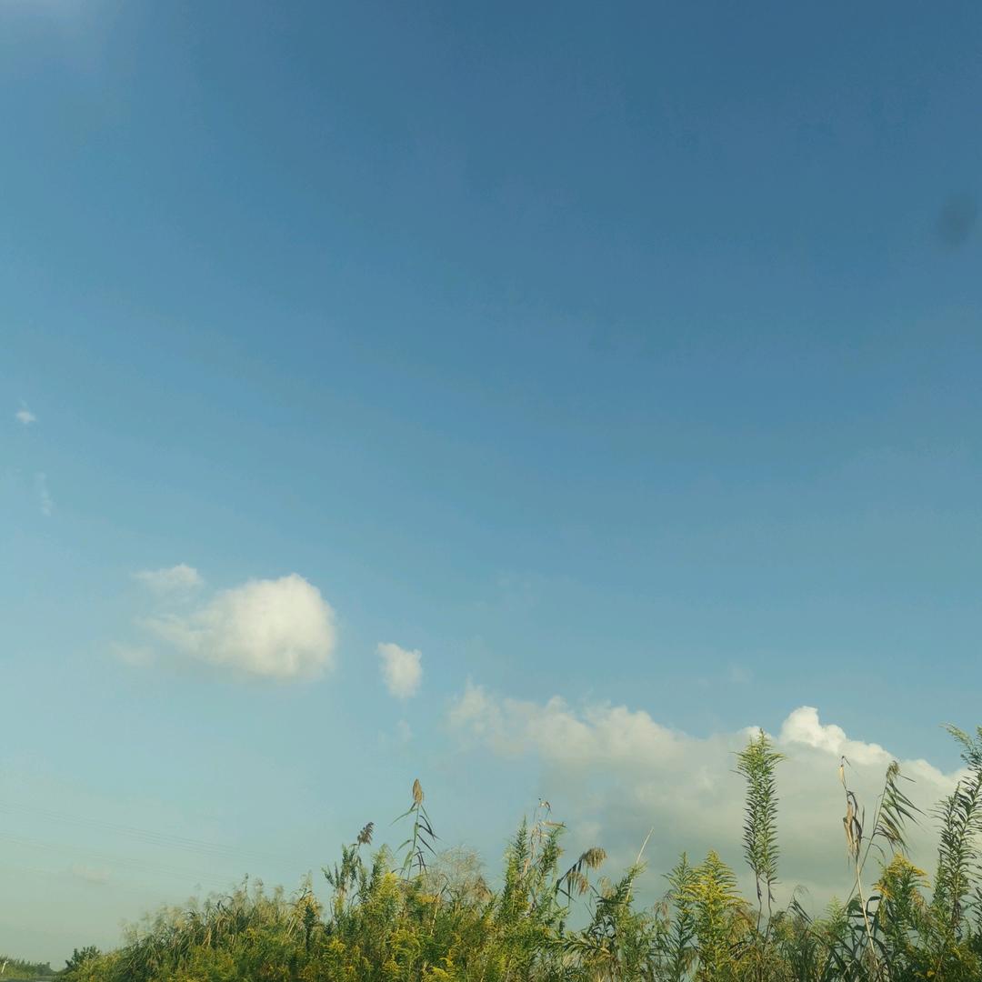 风吹夏天