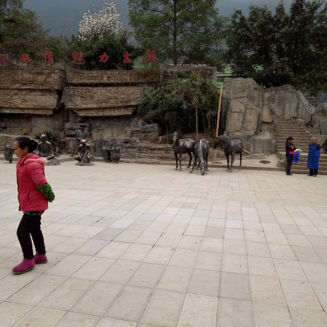 一生无悔