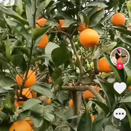 开心❤️每一天