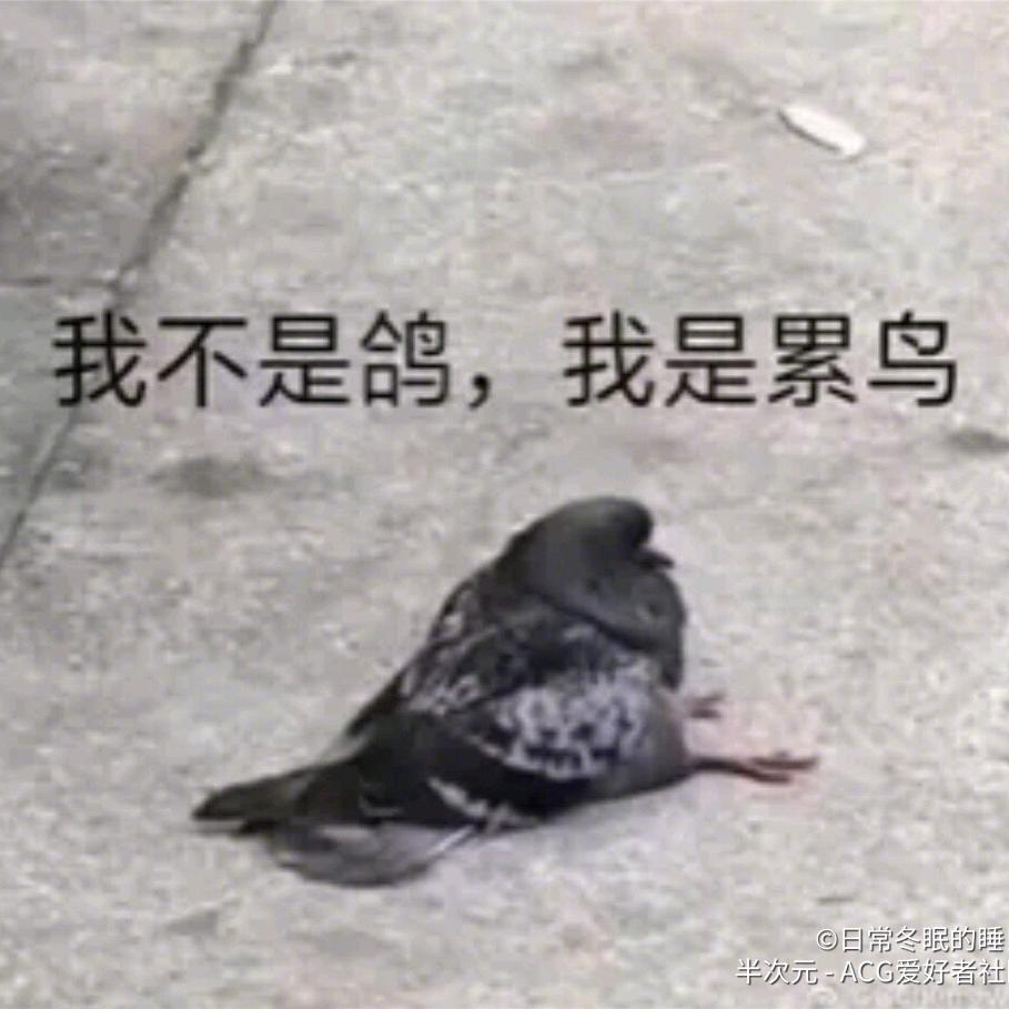 九造造造