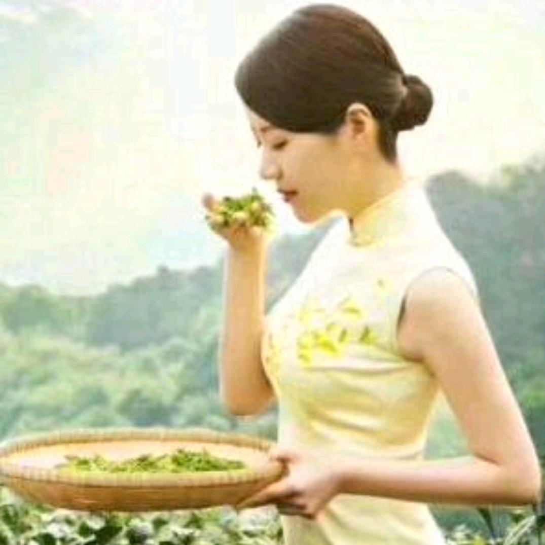 茶缘🍵江南茶庄