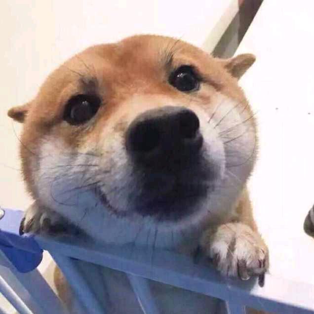 所向披靡头像