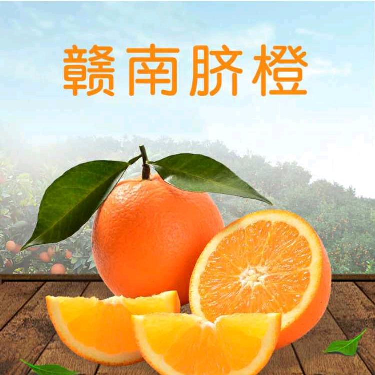 赣州农千里