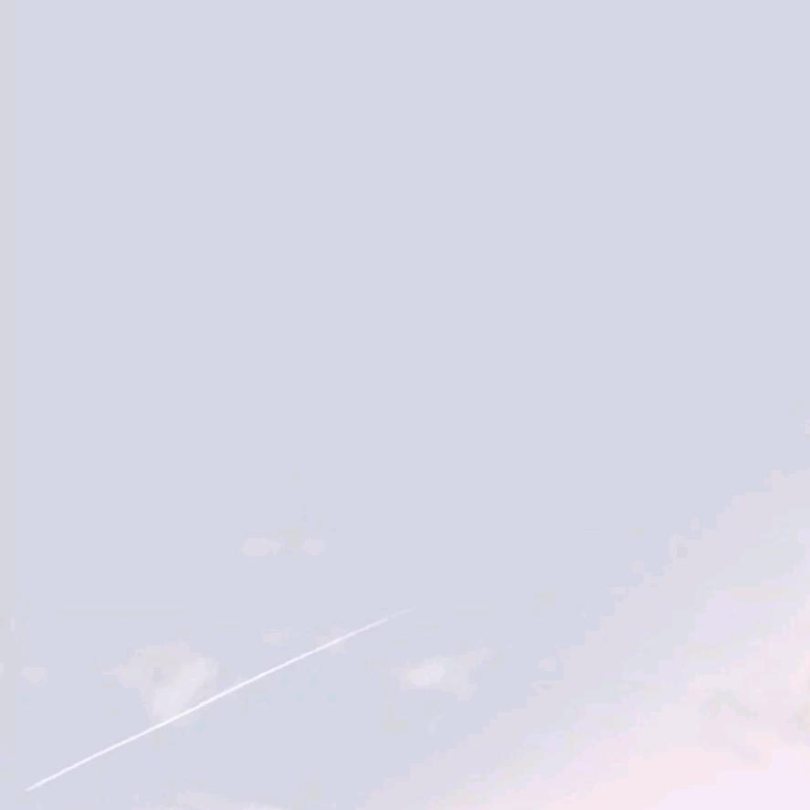 橙子🍊0