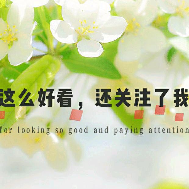 自驾游来吧