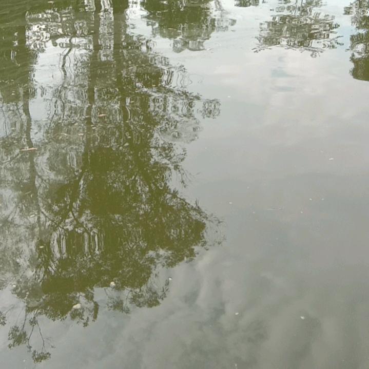 渡不完的劫
