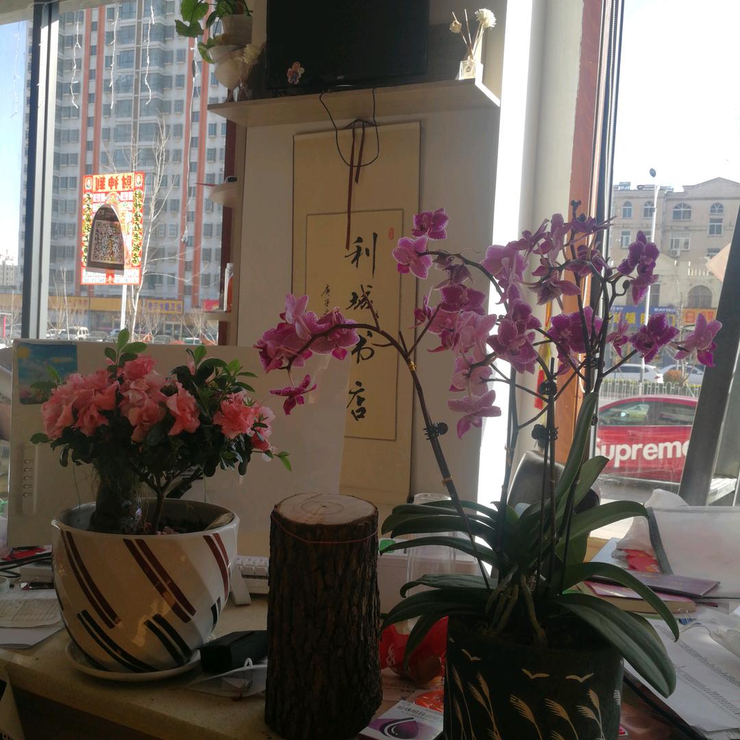 利城书斋·老吴