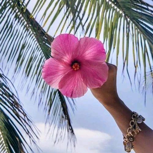 慈利商贸城美食街关东煮麻辣烫