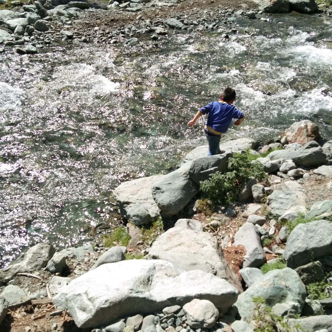 何世勇机械租赁。