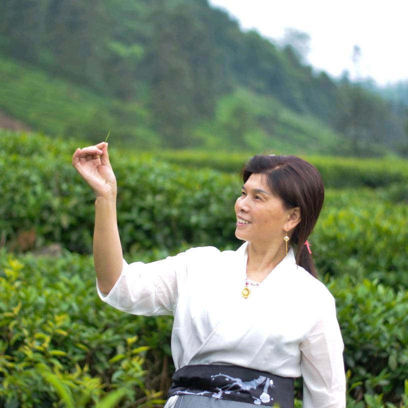 三姑庄(峨茗春)茶业