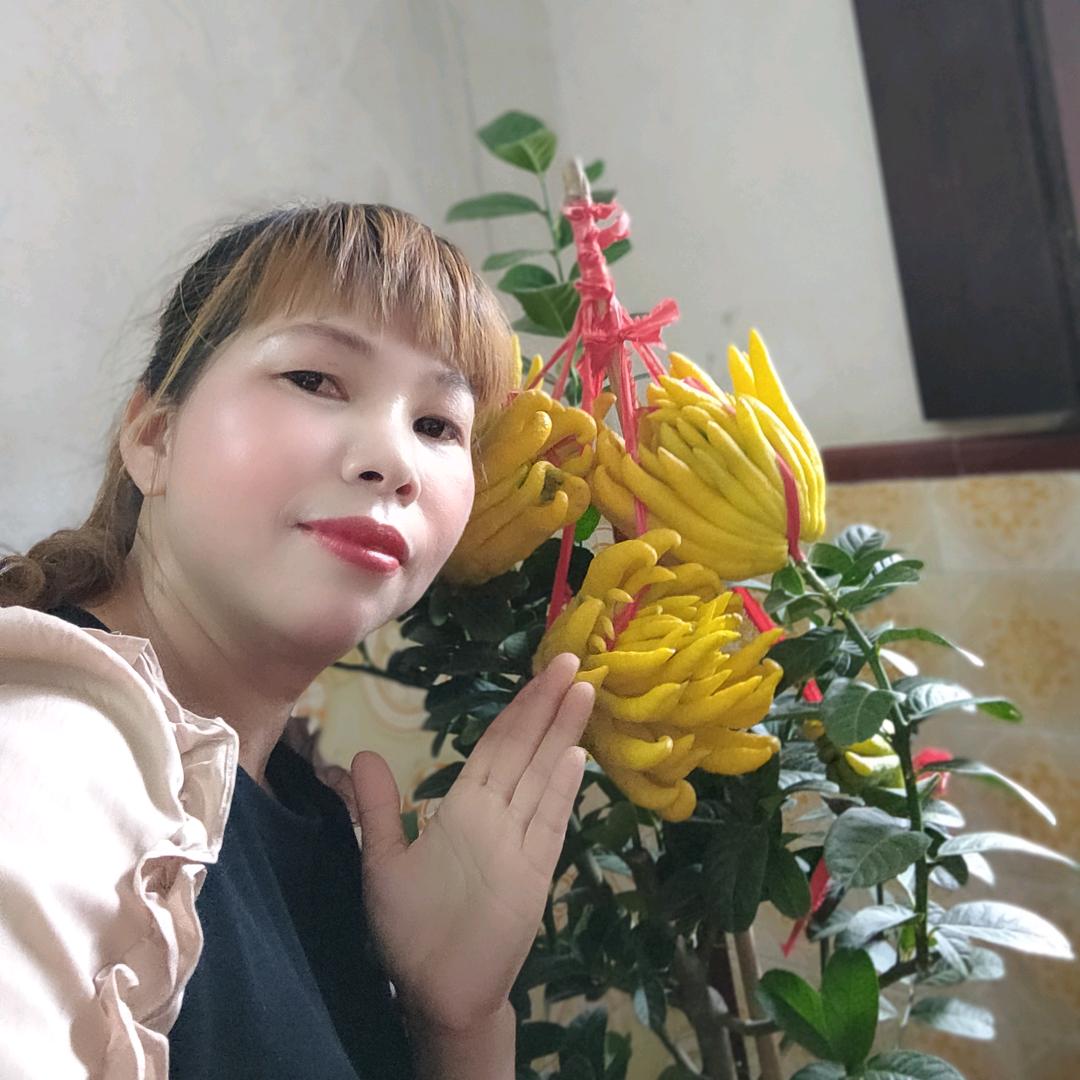 凤凰传奇