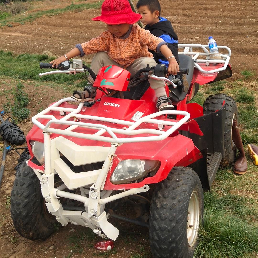 八个动作一人生