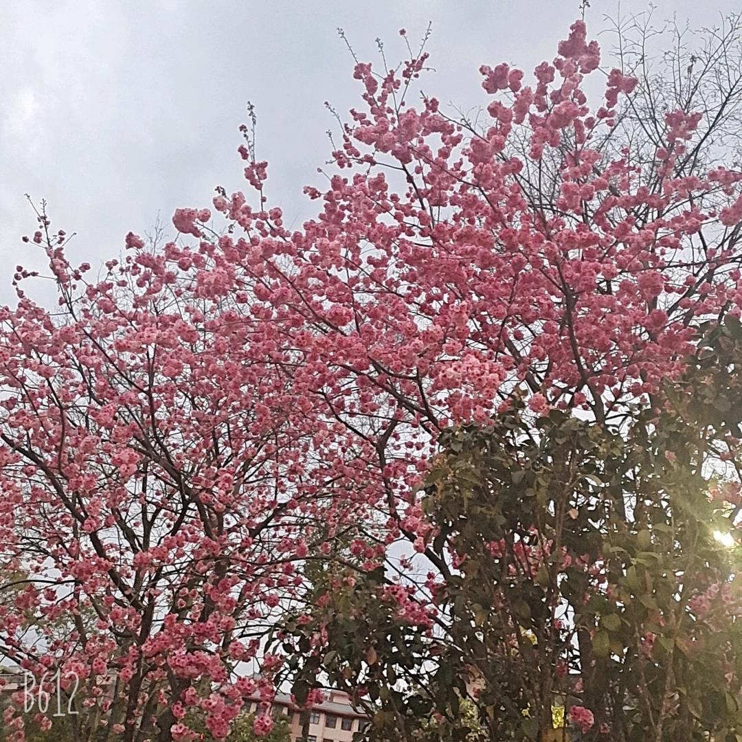 @笙眠.com