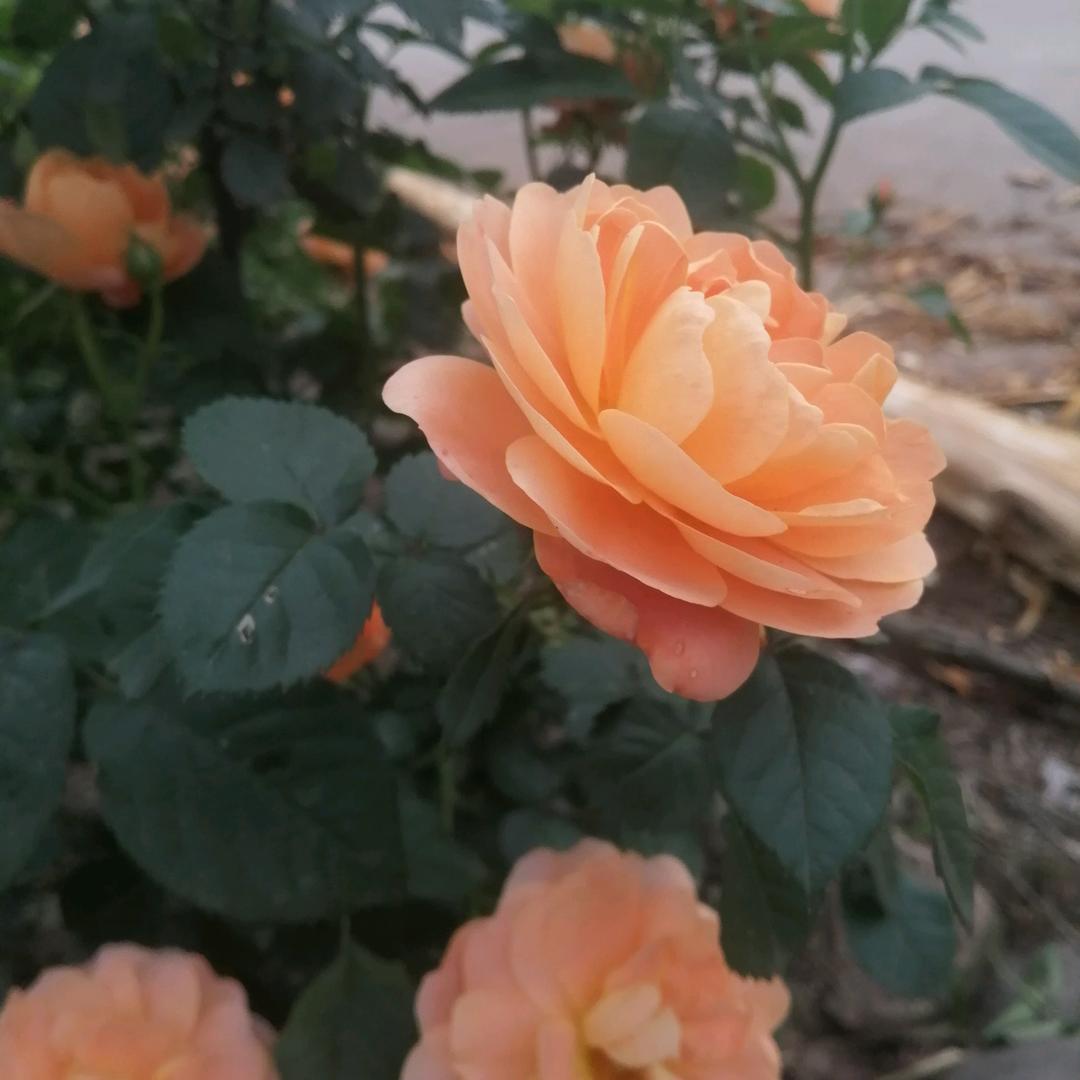 雨过天晴