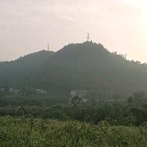 建平