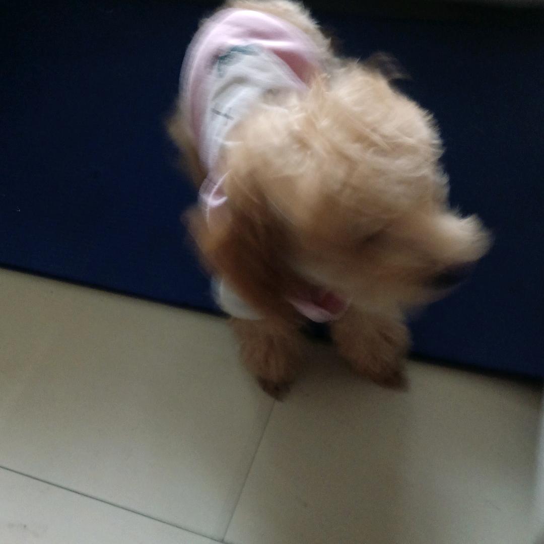 、点赞一