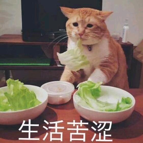 🌈顺风顺水顺财神