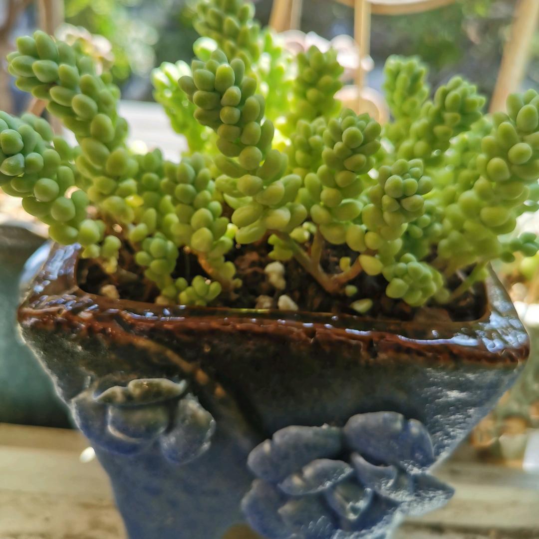 🌈若水三千🌈