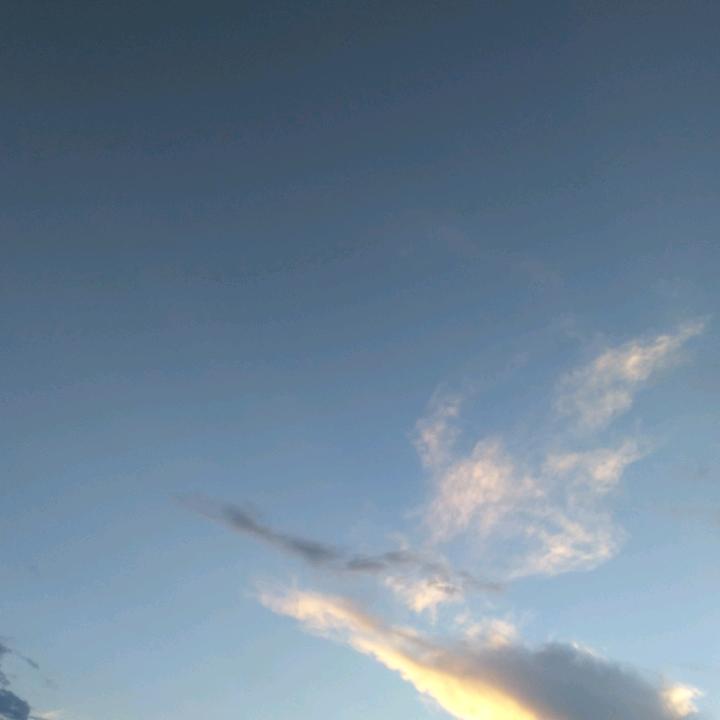 $执着$