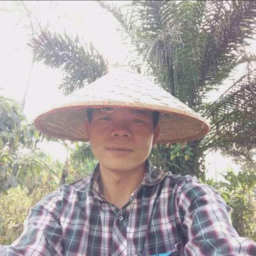 老狼行天下