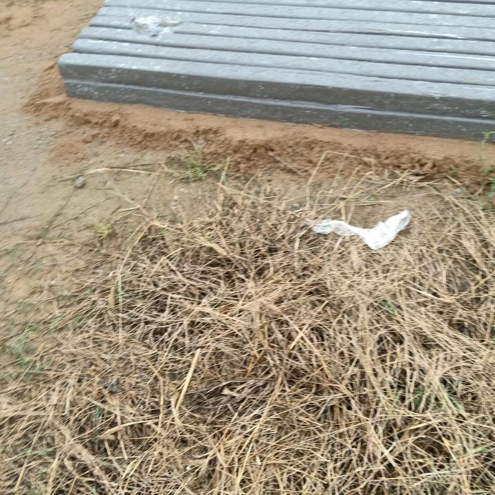 半世流离只为你