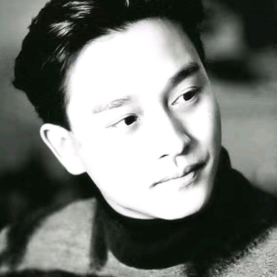 于集张辉（金箭淮海金彭），国轩锂电