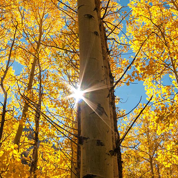 星星点灯💫💫💫