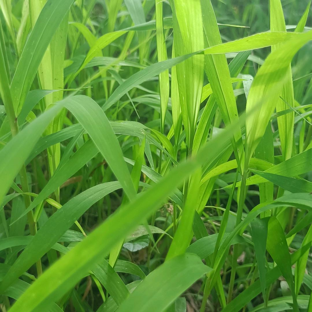 点点滴滴