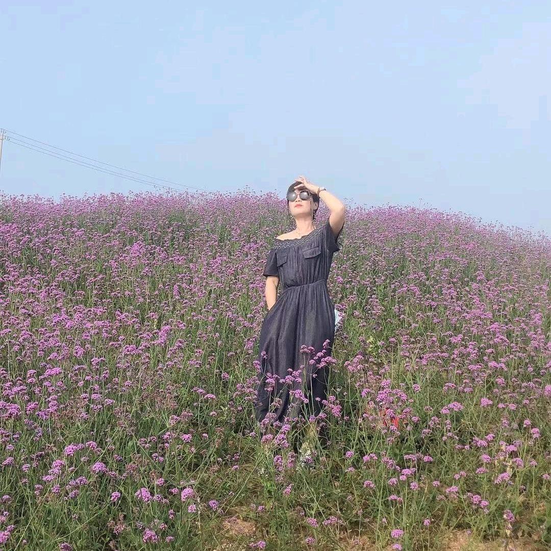 舞动芳华