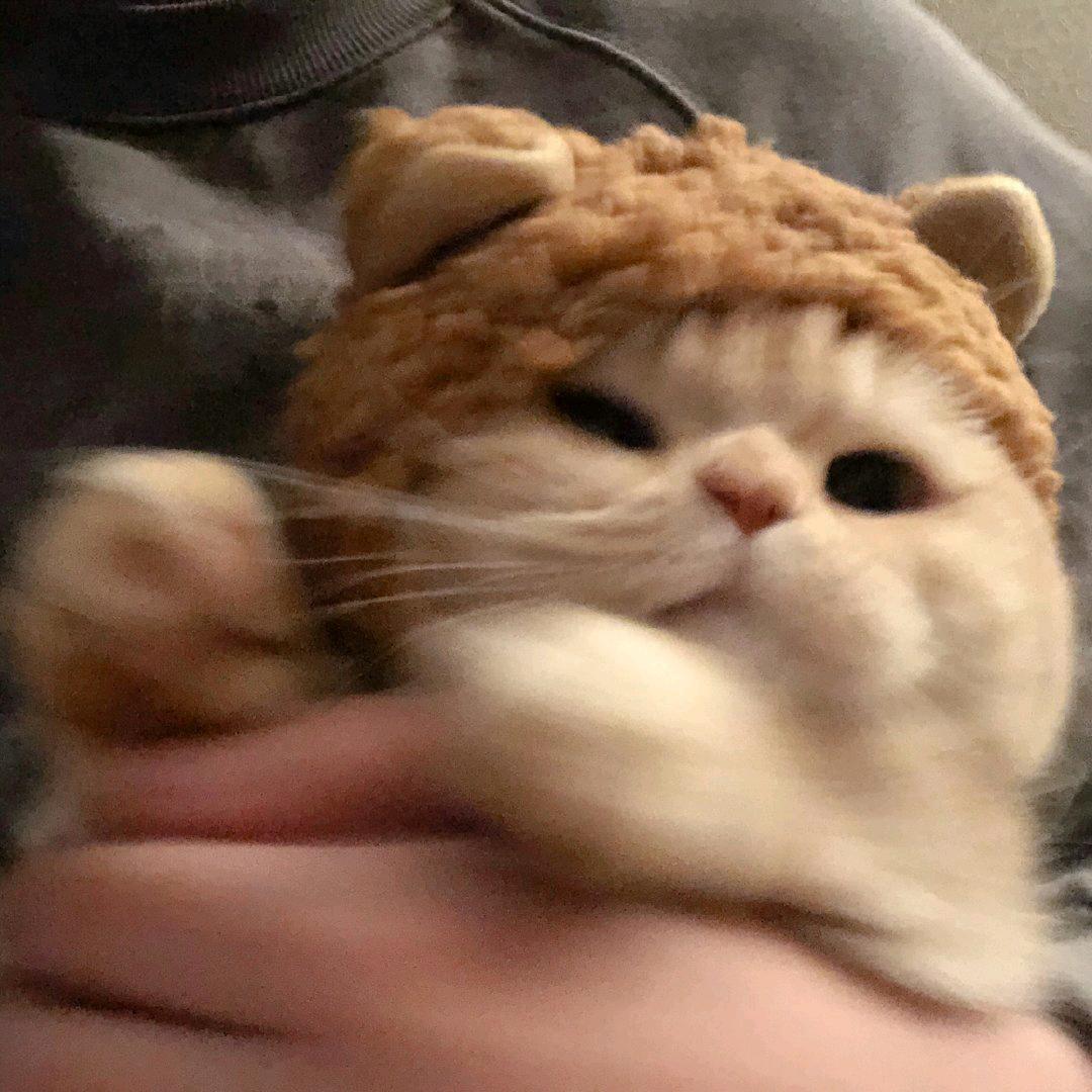 某汐子
