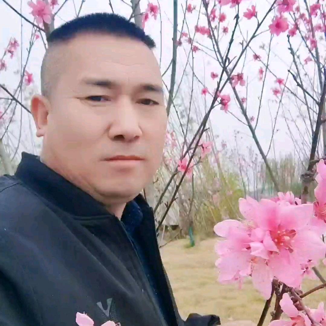 开心哥