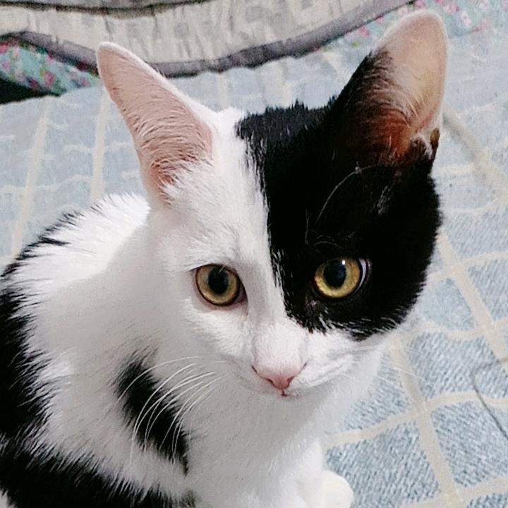 吴老三