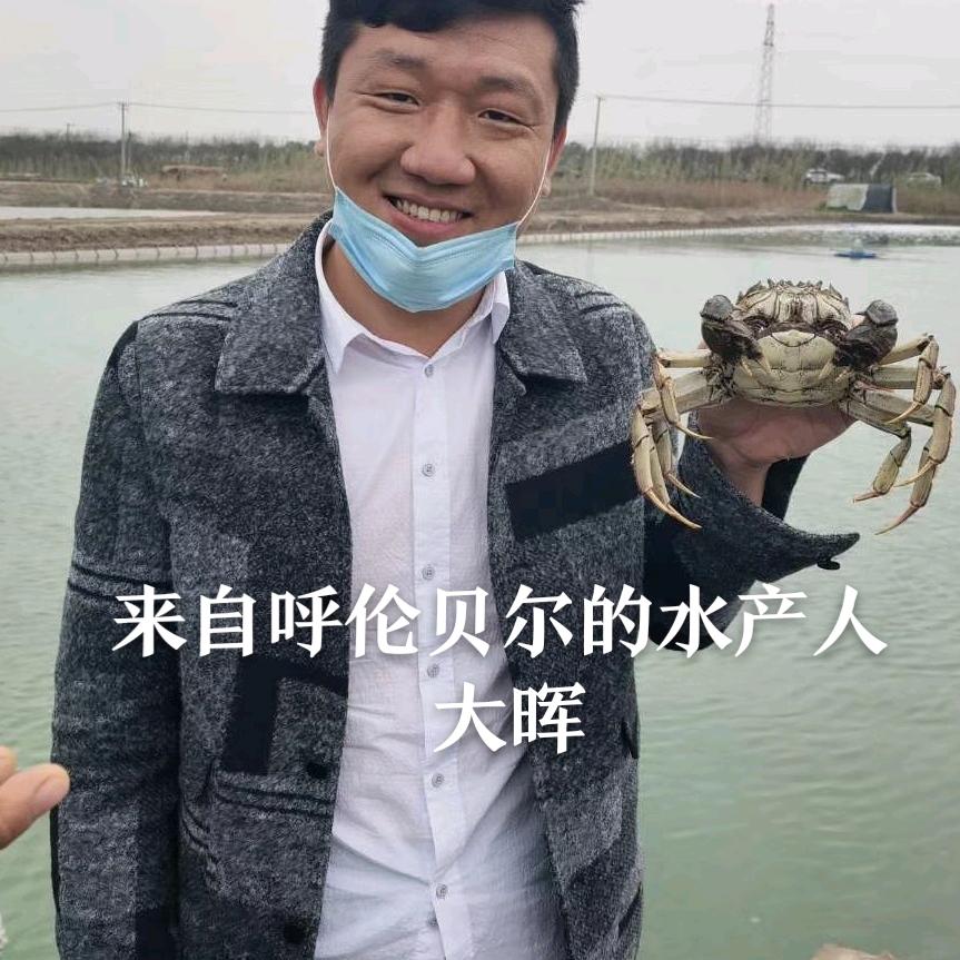 王建晖（大晖）岛本酵素菌扬泰盐宿大区总监