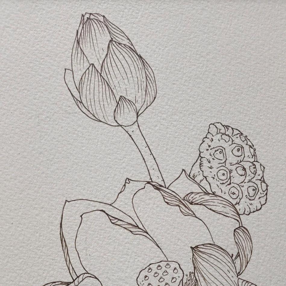 荑苒