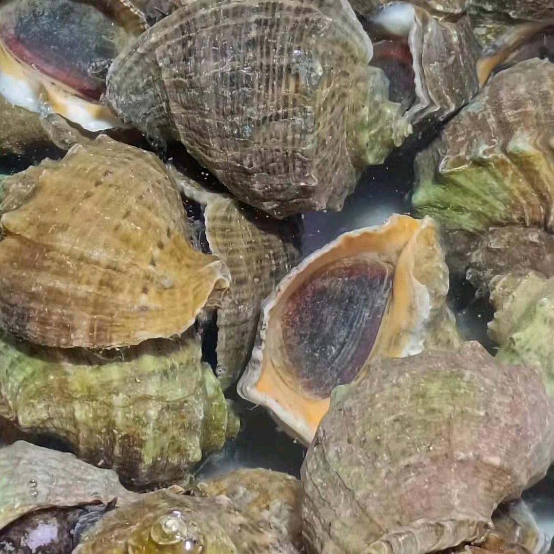 卖海鮮的小李妹