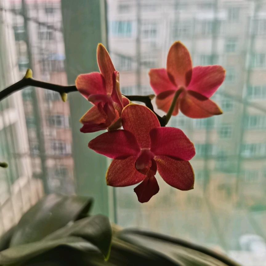 源泉