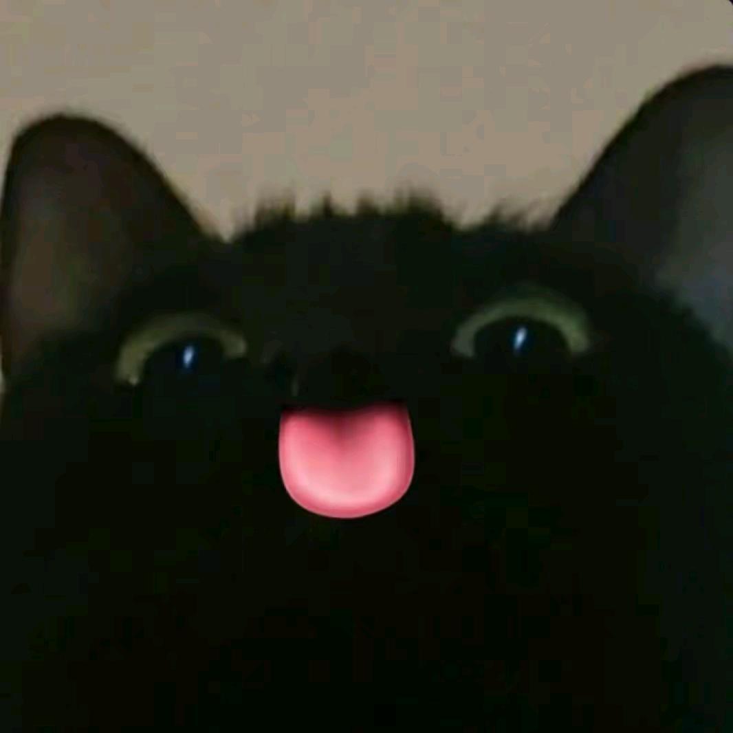 呀呼