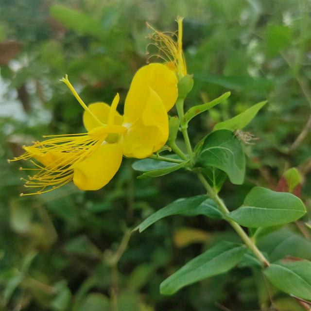 梦中あ惊醒
