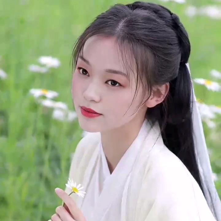 逐风雅梦