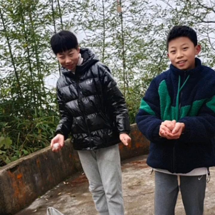 幸运草