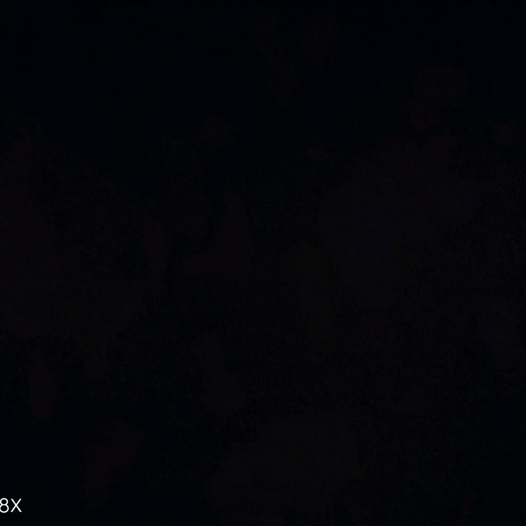 黑珍珠