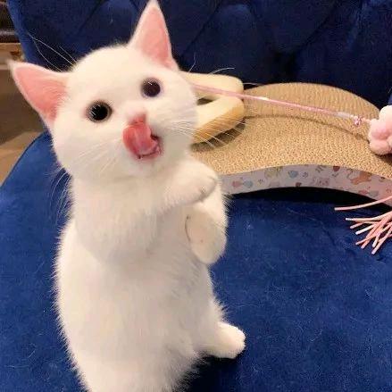 ๑旭宝贝๑🇨🇳