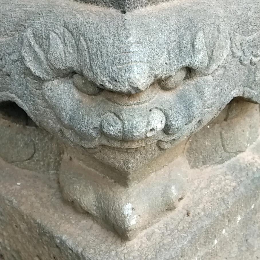 赤