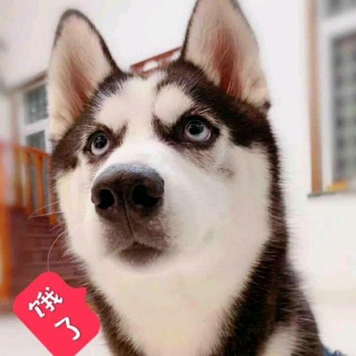 @青云王富贵