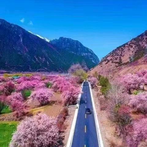 云南 撸鲁